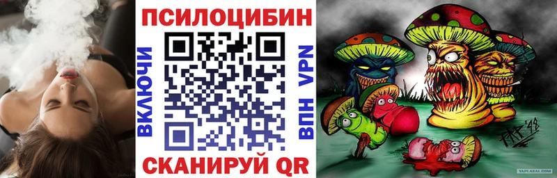 Псилоцибиновые грибы Psilocybe  Дубовка 